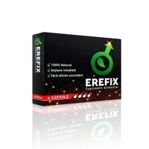 EREFIX 3D X1 s